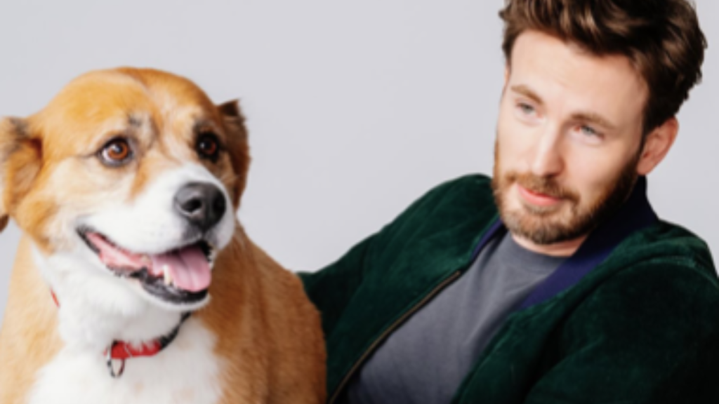 Chris Evans' Dog Dodger