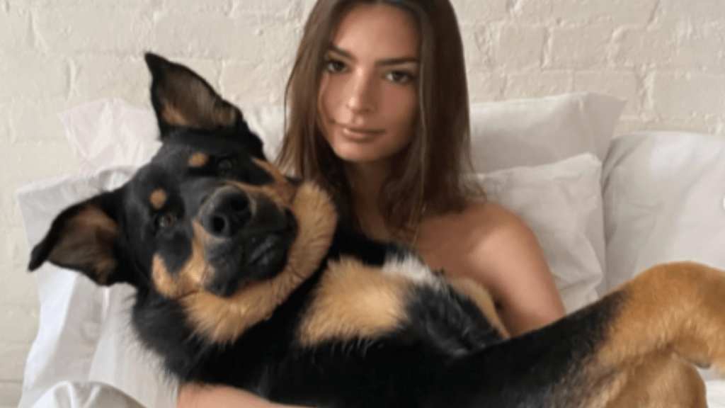 Emily Ratajkowski's Dog Columbo