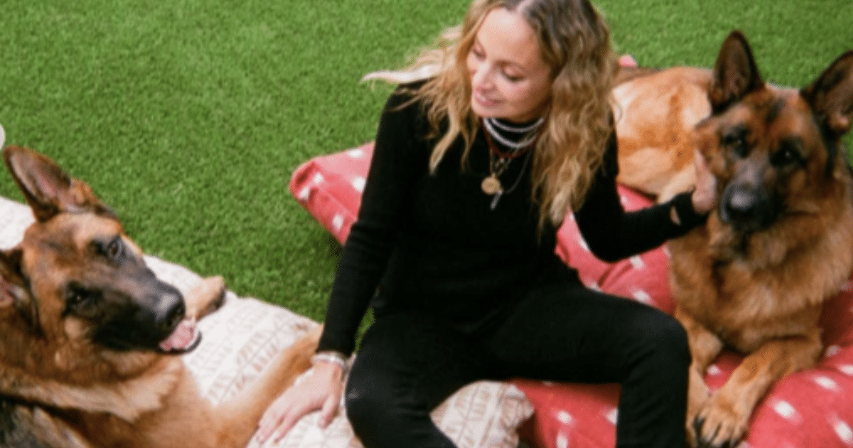 Nicole Richie's Dog Roki: Breed, Age, and More - DogTime