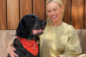 Kate Bosworth's dog Happy