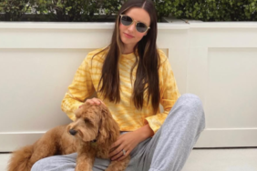 Miranda Kerr's Dog Teddy