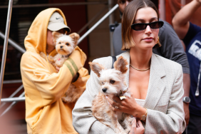 Justin Bieber and Hailey Bieber with their dogs Oscar and Piggy Lou