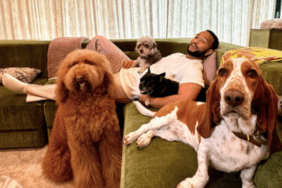 Chrissy Teigen and John Legend's Dogs