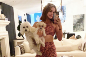 Lucy Hale's Dogs Elvis and Ethel