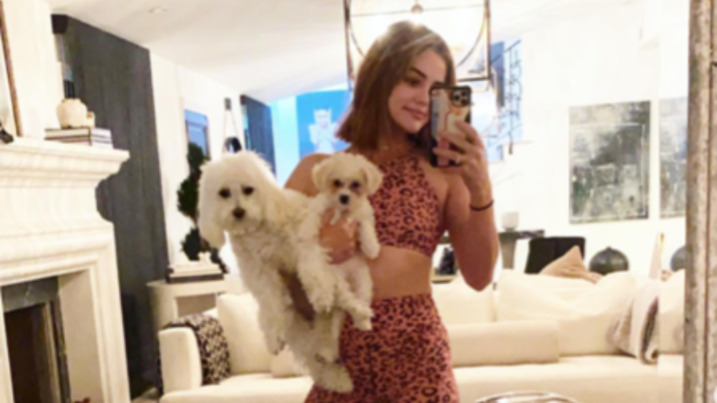 Lucy Hale's Dogs Elvis and Ethel