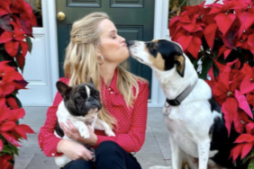 Reese Witherspoon's Dogs