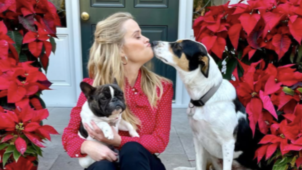 Reese Witherspoon's Dogs