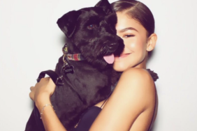 Zendaya's Dog Noon Coleman