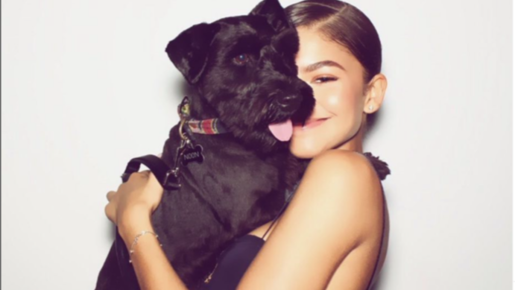 Zendaya's Dog Noon Coleman