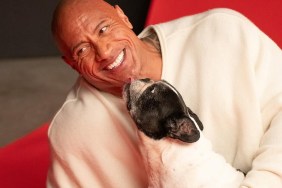 What Happened Dwayne Johnson Dog Hobbs The Rock French Bulldog