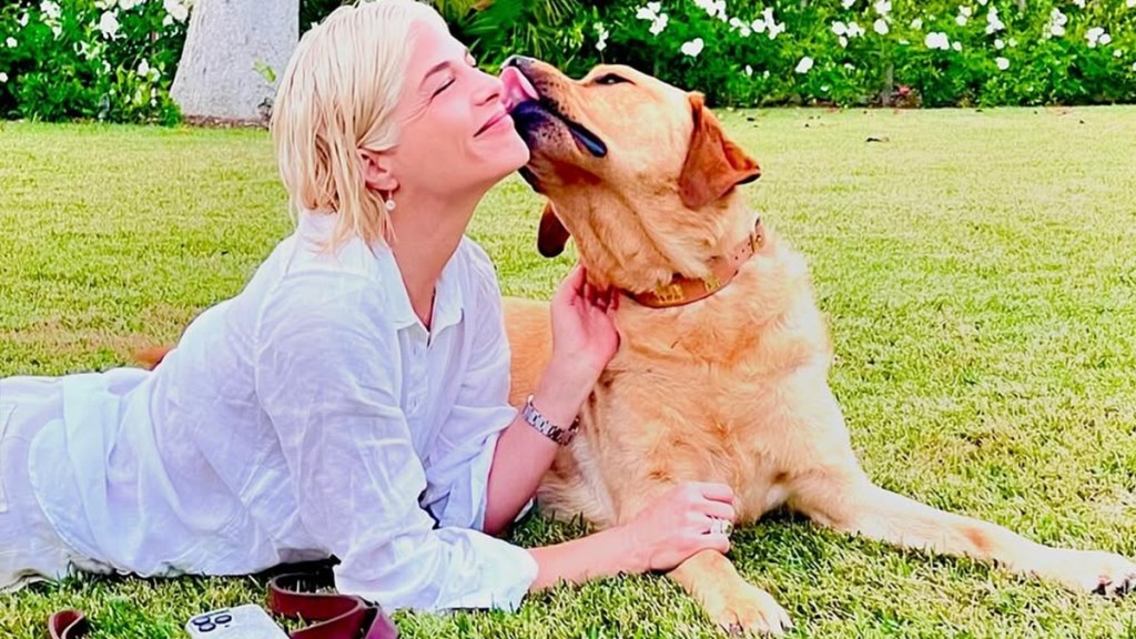 Why Selma Blair Have Need Service Dog Scout Disease Condition