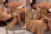 rescue dog owner cuddling video