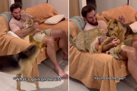 rescue dog owner cuddling video