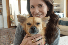 Kristin Davis' Dog Chewy