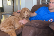Kirk Cousins' Dog Abe