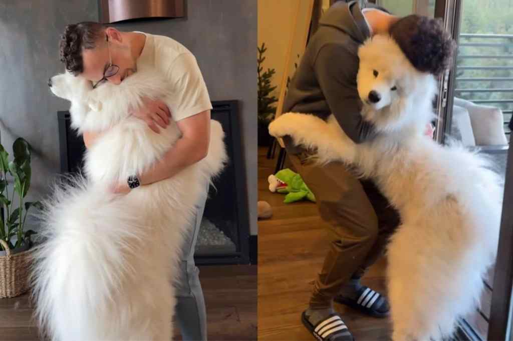 Dog and owner morning hug.