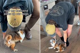 dog dad potato scoop