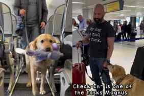 Video of service dog.