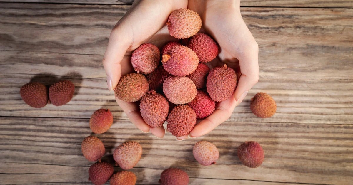 A girl holds a cluster of lychee fruit, which dogs can eat but shouldn't due to potential risks of gastrointestinal blockages and effects on glucose levels.