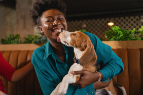 Best Dogs for Single Women