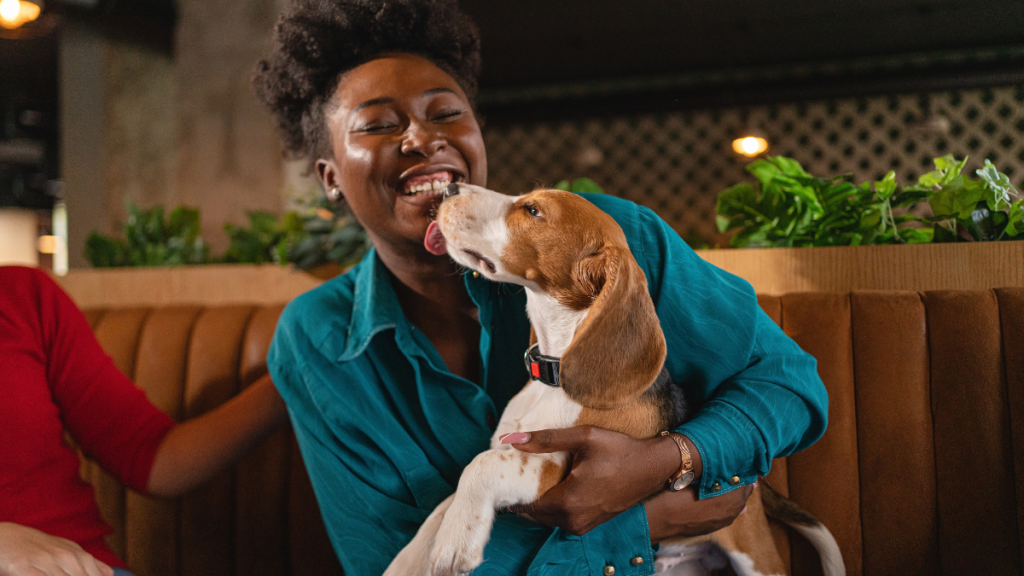 Best Dogs for Single Women