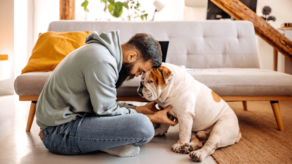 Best Dog Breeds for Single Men