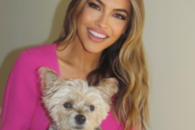 Chrishell Stause's Dog Gracie