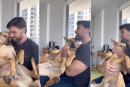 rescue dog baby video
