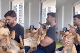 rescue dog baby video