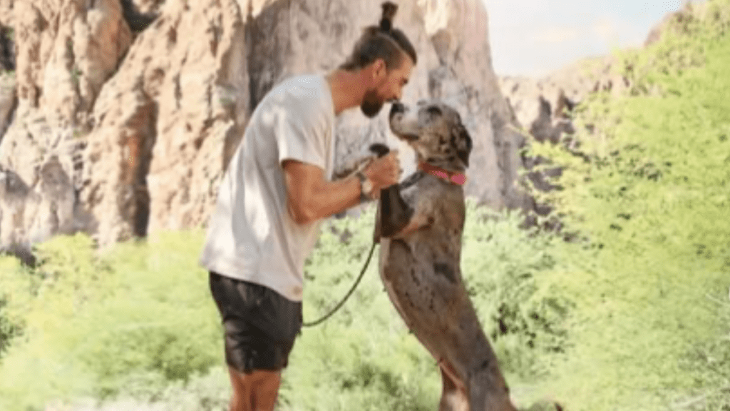 Michael Phelps' Dog Onyx