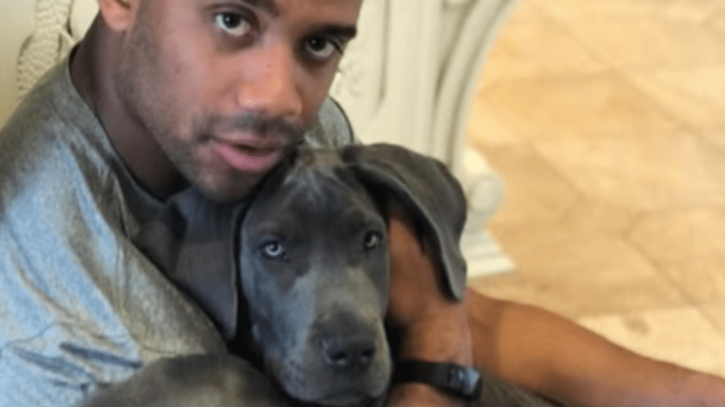 Russell & Ciara Wilson's Dog Hero