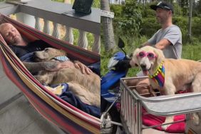 rescue dog legacy video