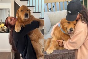 dog owner true love