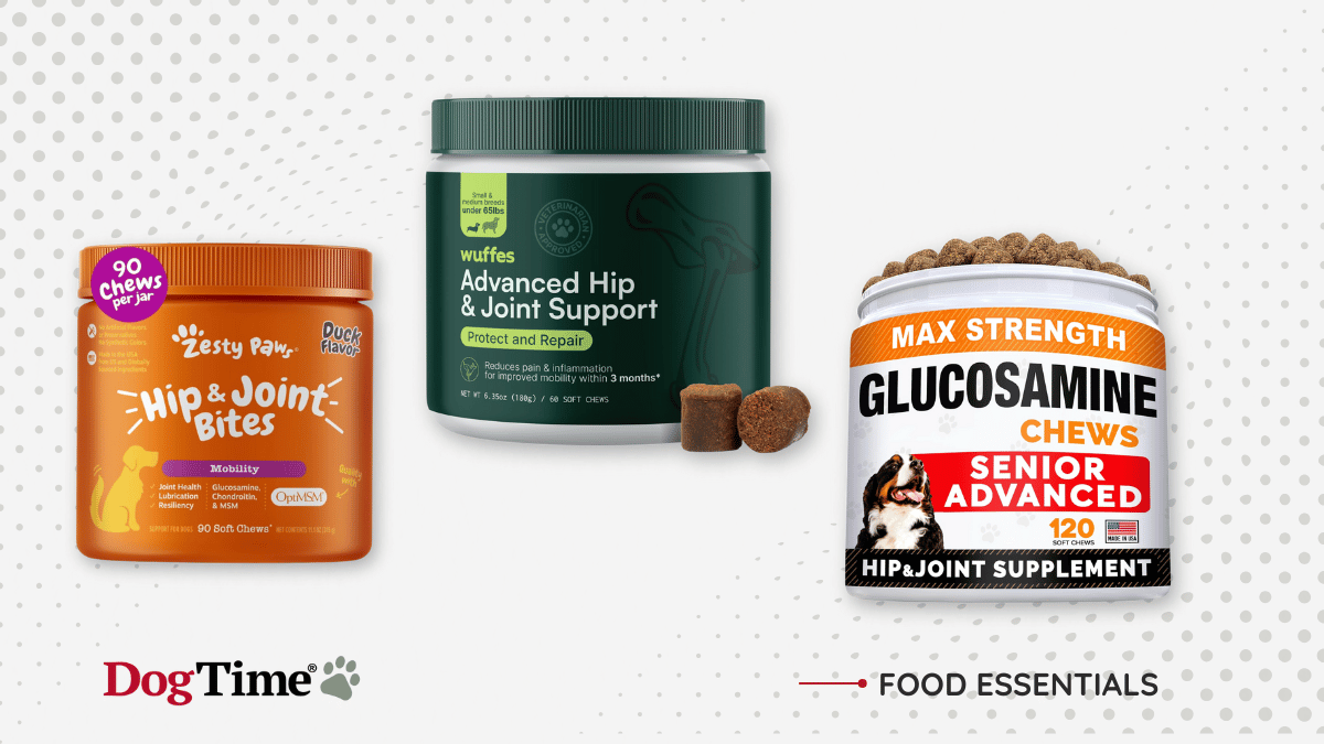 Picture of Best Glucosamine Supplements for Dogs in 2025