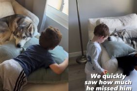 Video Shows How Dog's Life Changed When Owner's Baby Grew Up