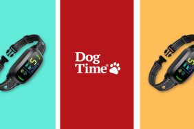 FAFAFROG Dog Bark Collar