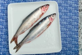 Two raw herring fish, which dogs can eat safely if cooked, on a white ceramic plate against a blue printed tablecloth.