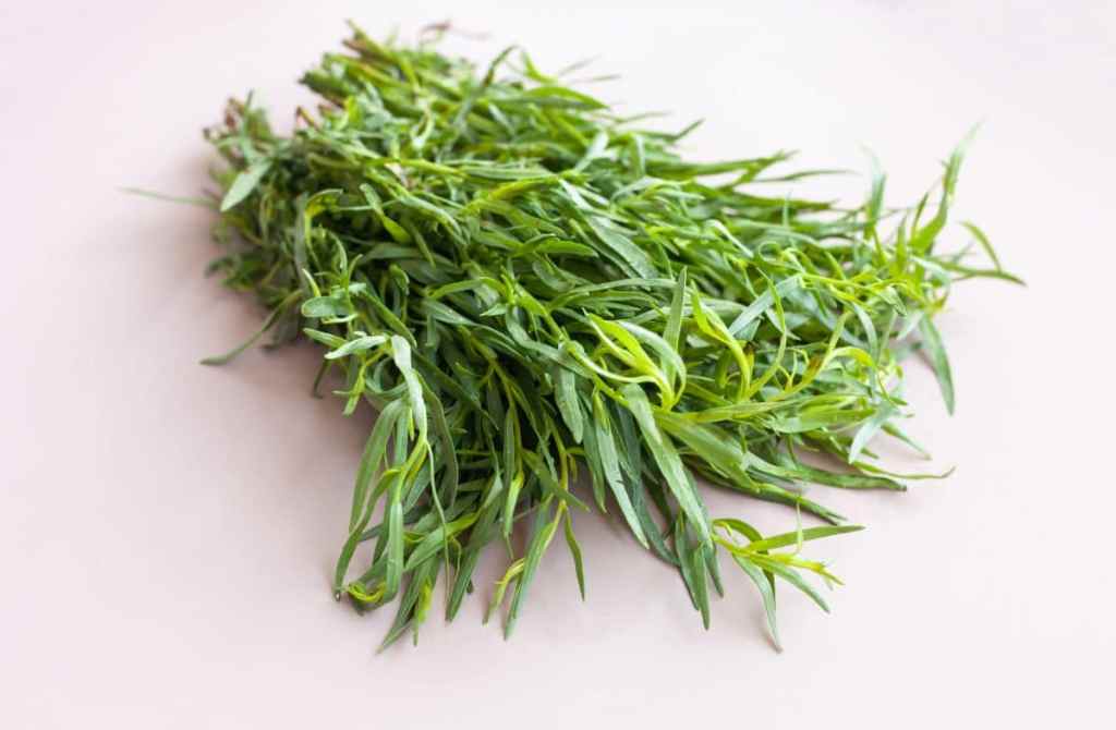 Green fresh herb tarragon on table.