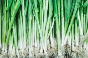 Homegrown farm green onions or scallions.