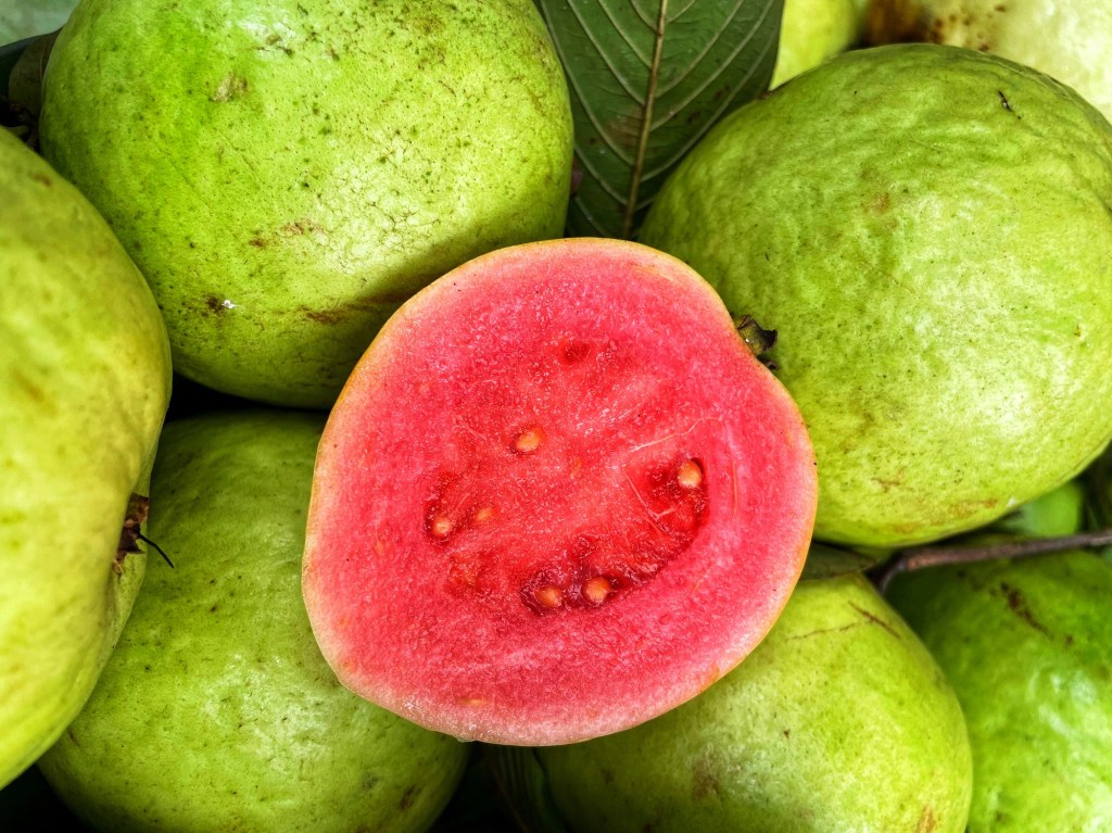 A closeup photo of a sliced guava, which dogs can eat safely in moderation.