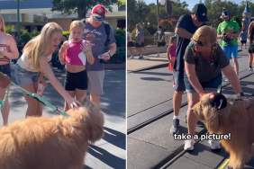 dog Disneyland video