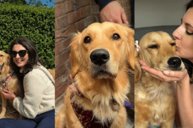 Becoming a Dog Mom
