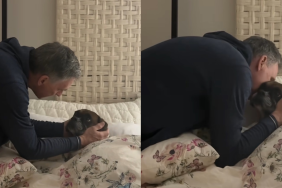 grandpa dog video