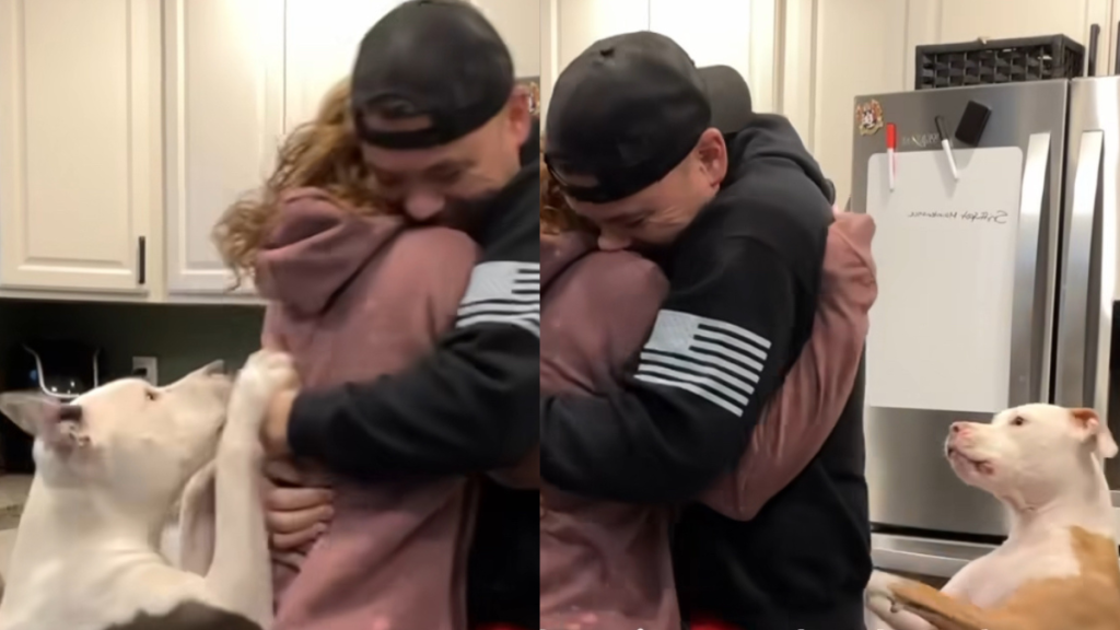 dog hug video