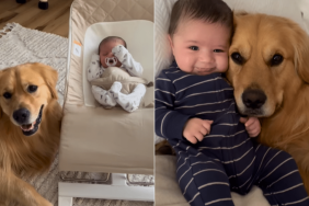 Adorable dog and baby video