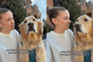 funny dog video
