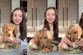 Mini Dachshund salad wrap dinner