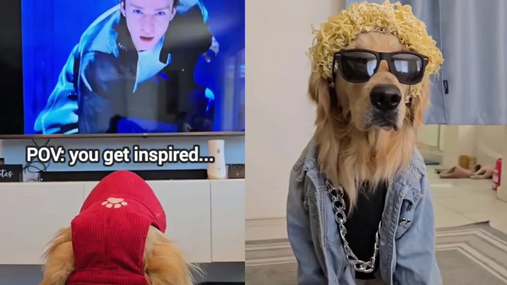 dog Justin Timberlake video