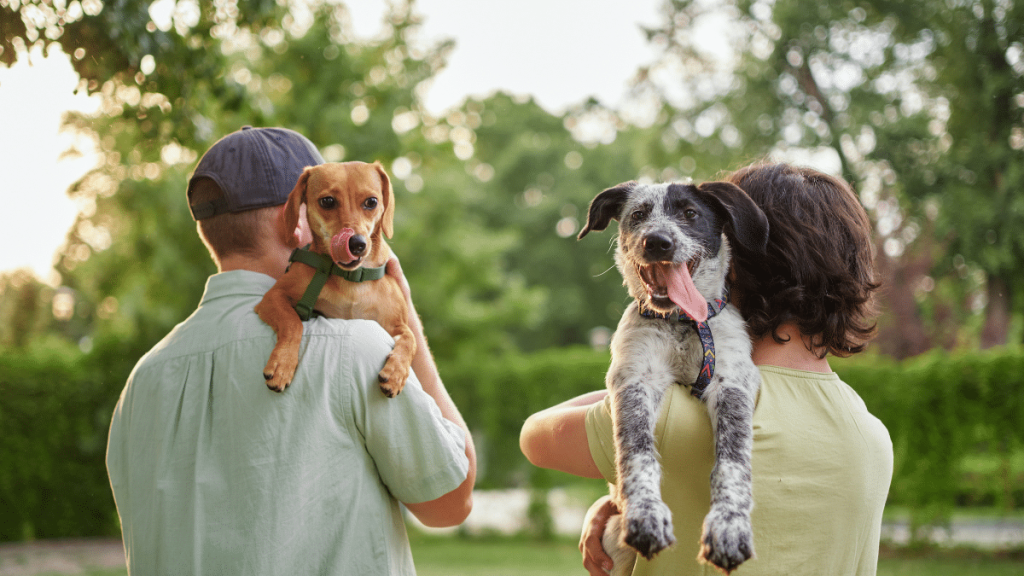 Best Dog Breed for Every Zodiac Sign