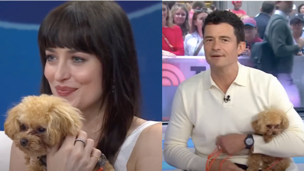 Orlando Bloom dog